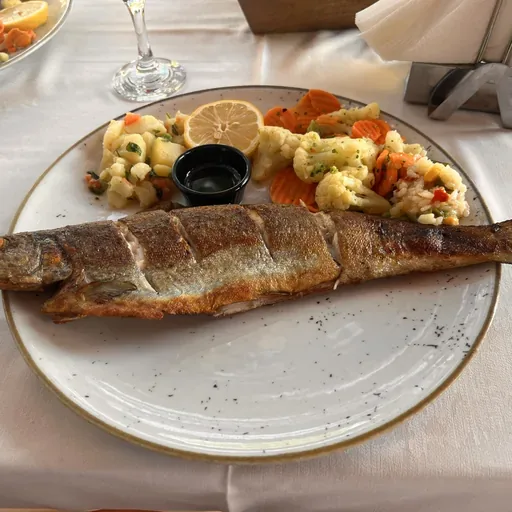 Grilled trout